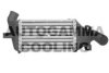 AUTOGAMMA 101509 Intercooler, charger